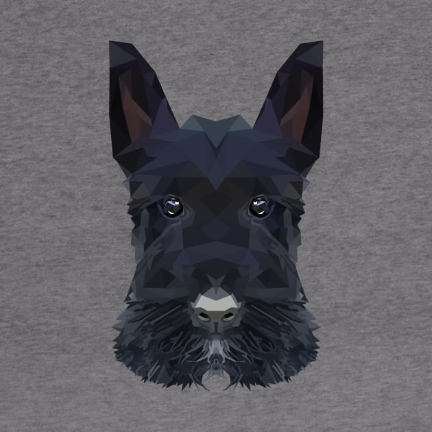 Scottish Terrier by Edwardmhz